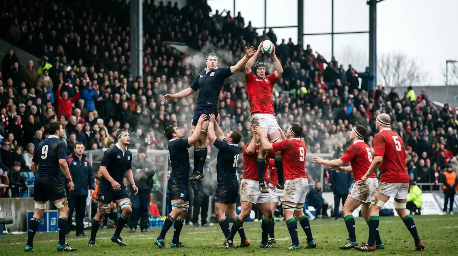 Six Nations rugby match action at a packed European stadium